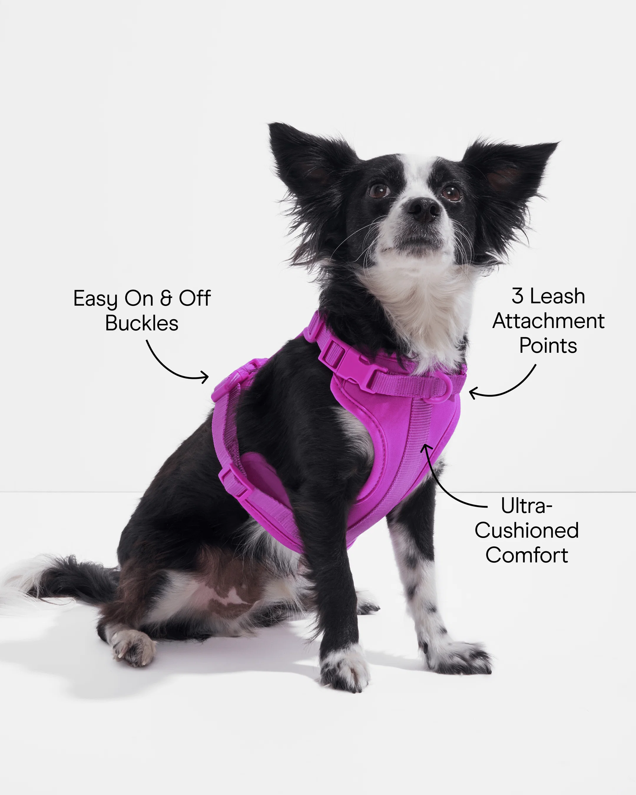 Product image 56