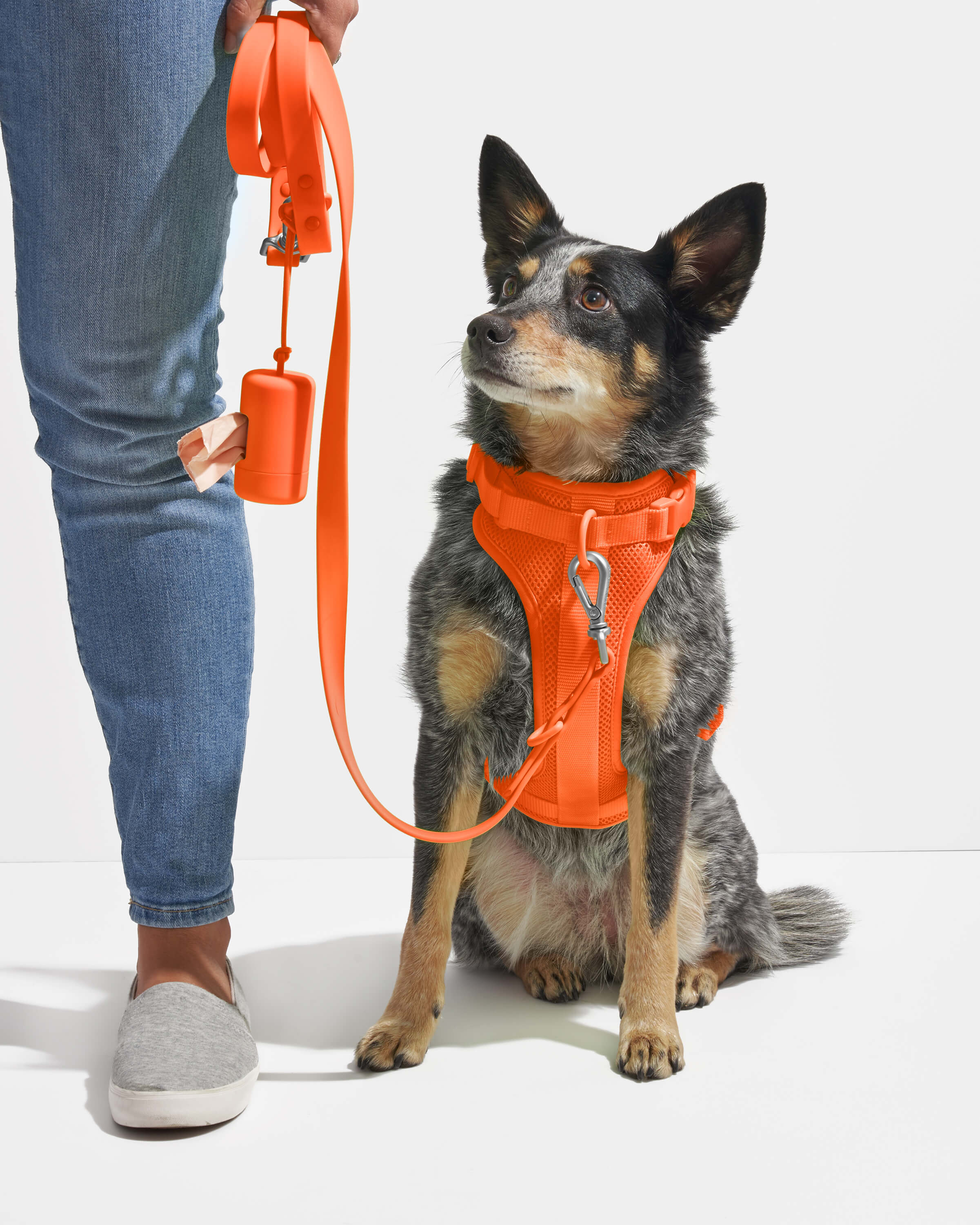 Product image 70